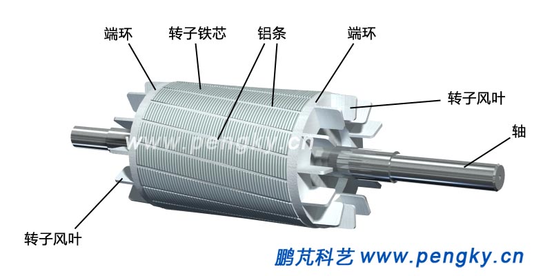 图4--笼型绕组的转子