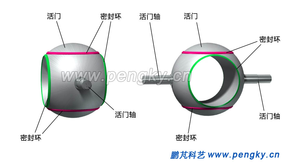 球阀的活门 