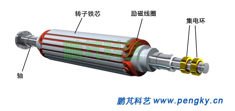 发电机转子绕组, Rotor excitation coil