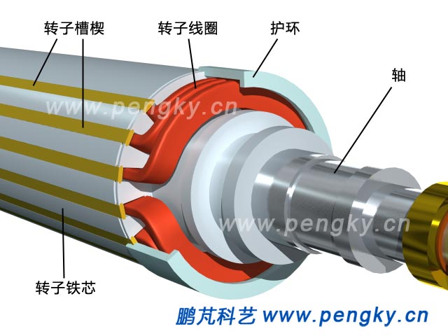 转子线圈与护环