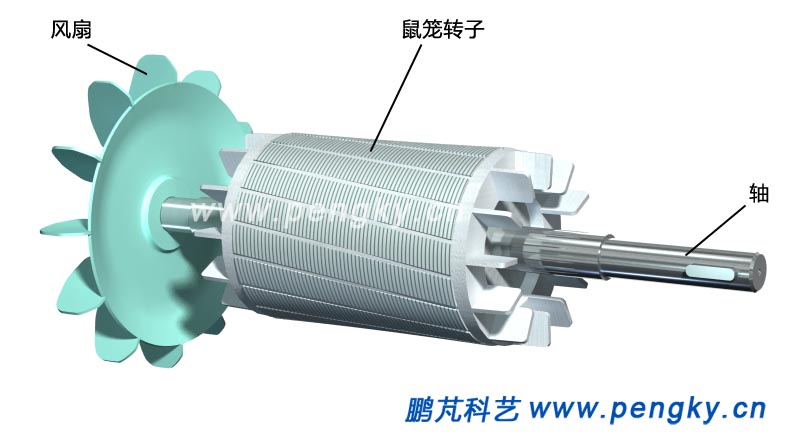 笼型异步电动机转子