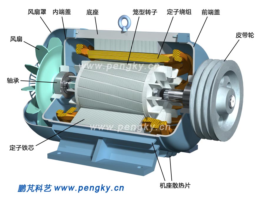 笼型感应电动机,cage induction motor