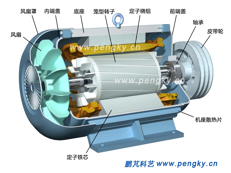 笼型感应电动机,squirrel induction motor