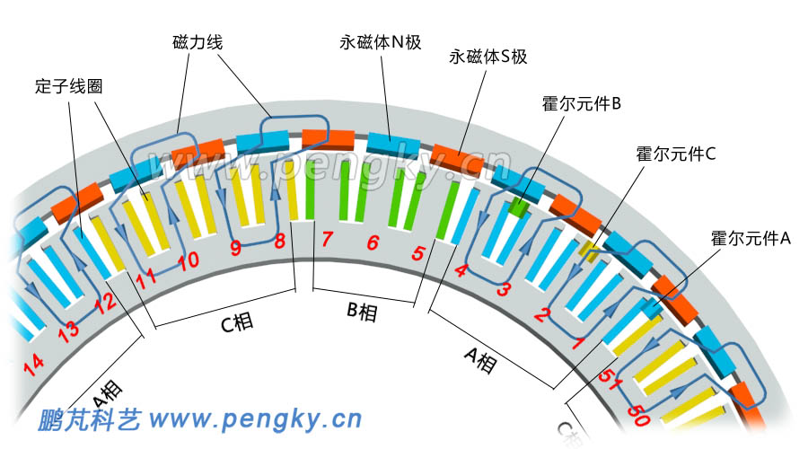 51槽46极分数槽集中绕组永磁电机局部