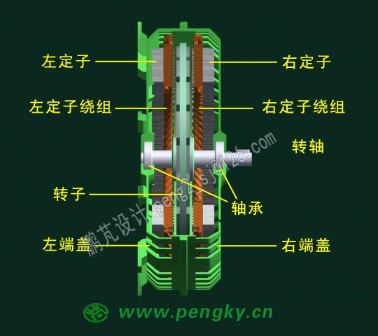 中间转子盘式发电机剖面-1