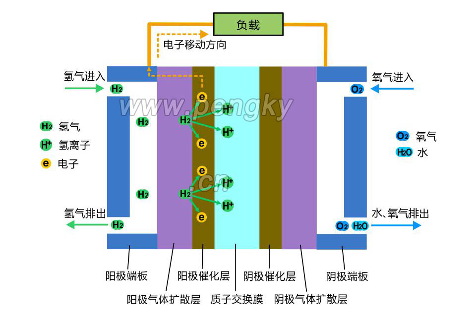 燃料电池（PEMFC）阳极侧电化学反应