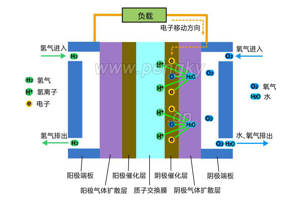 燃料电池（PEMFC）阴极侧电化学反应