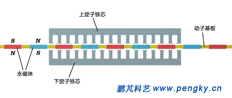 双边平板型直线同步电动机的次级
