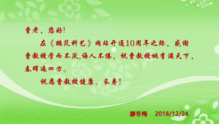 廖冬梅祝贺网站10周年