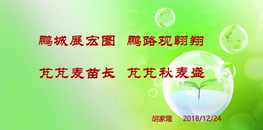 胡家隆祝贺网站10周年