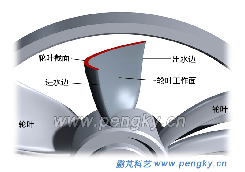 截短的轮叶