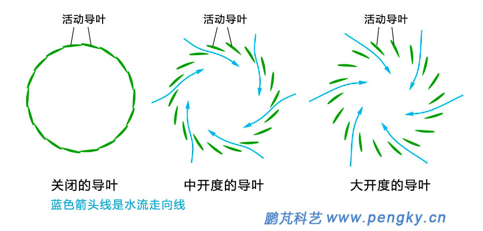 导叶不同开度时水流走向