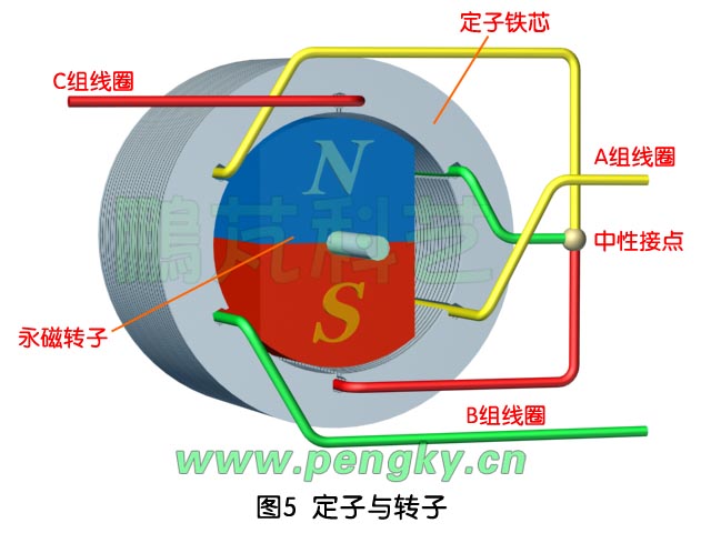 定子与永磁转子 