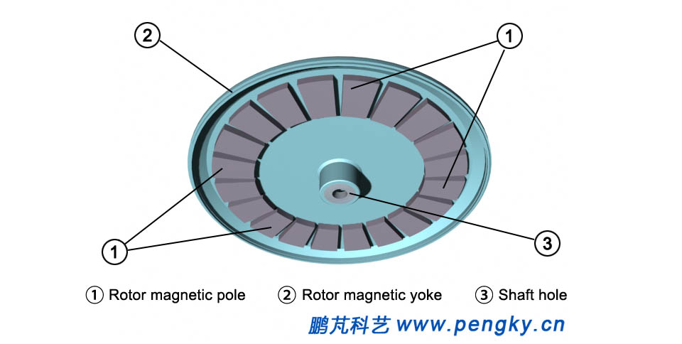 Disk generator rotor with magnetic pole