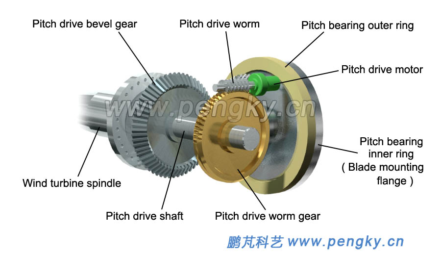Worm gear and pitch bevel gear