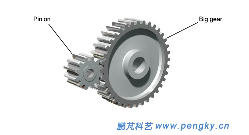 External gearing spur gear