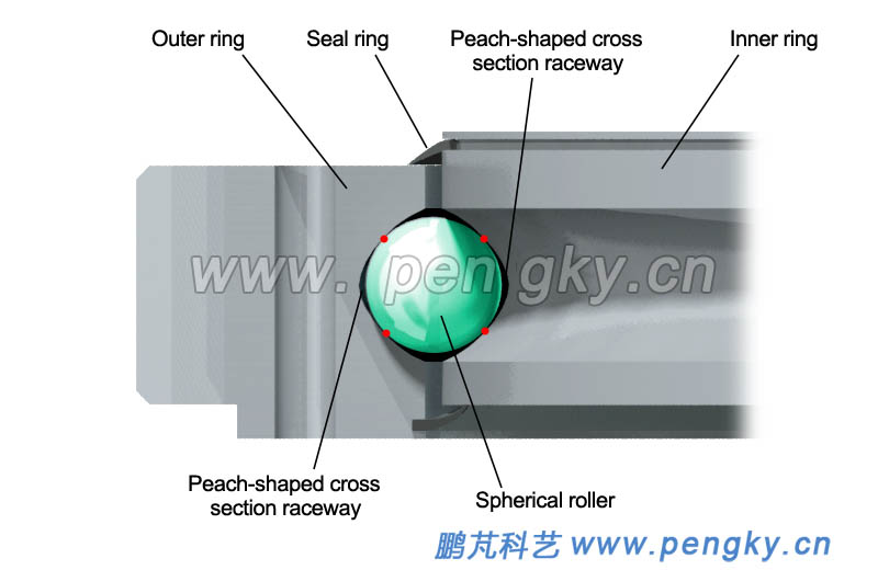 The raceway of a four-point contact ball bearing